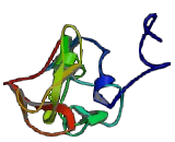 Protein Tyrosine Phosphatase Receptor Type C Associated Protein (PTPRCAP)