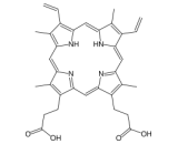 Protoporphyrin IX (PpIX)