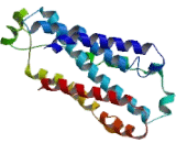 Purinergic Receptor P2Y, G Protein Coupled 10 (P2RY10)