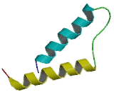 Purinergic Receptor P2Y, G Protein Coupled 12 (P2RY12)