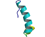 Purinergic Receptor P2Y, G Protein Coupled 8 (P2RY8)