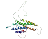 Pyroglutamylated RFamide Peptide Receptor (QRFPR)