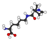 Pyrrolysine (Pyl)