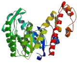 Queuine tRNA Ribosyltransferase 1 (QTRT1)