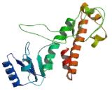Queuine tRNA Ribosyltransferase Domain Containing Protein 1 (QTRTD1)
