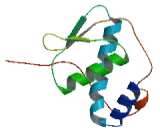 R3H Domain Containing Protein 1 (R3HDM1)