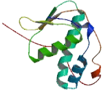 R3H Domain Containing Protein 2 (R3HDM2)