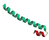 RAB GTPase Binding Effector Protein 2 (RABEP2)