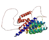 RAB Geranylgeranyltransferase Alpha Subunit (RABGGTa)