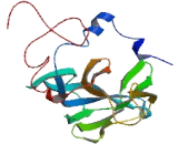 RNA Binding Motif Protein, Y-Linked Family 1, Member C (RBMY1C)