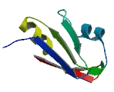 RNA Binding Motif Protein 12B (RBM12B)
