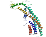 RNA Binding Motif Protein 44 (RBM44)