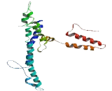 RNA Guanine-9-Methyltransferase Domain Containing Protein 3 (RG9MTD3)