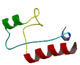 RNA Methyltransferase Like Protein 1 (RNMTL1)