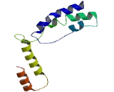 RNA Polymerase I, DNA Directed Polypeptide E (POLR1E)