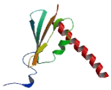 RNA Polymerase II, DNA Directed Polypeptide J2 (POLR2J2)