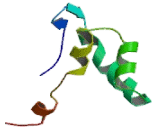 RNA Polymerase II, DNA Directed Polypeptide L (POLR2L)