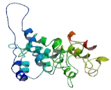 RNA Polymerase II Associated Protein 1 (RPAP1)