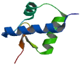 RNA Polymerase III, DNA Directed Polypeptide F (POLR3F)