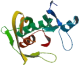 RNA Pseudouridylate Synthase Domain Containing Protein 2 (RPUSD2)