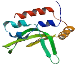 RTF1, Paf1/RNA Polymerase II Complex Component, Homolog (RTF1)