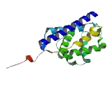 RUN And FYVE Domain Containing Protein 3 (RUFY3)