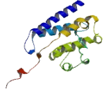 RUN Domain Containing Protein 3A (RUNDC3A)