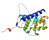 RUN Domain Containing Protein 3B (RUNDC3B)