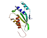 RWD Domain Containing Protein 2B (RWDD2B)