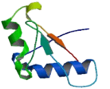 Ras Association Domain Containing Protein 4 (RASSF4)