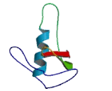 Receptor Accessory Protein 4 (REEP4)