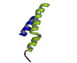 Receptor Accessory Protein 5 (REEP5)