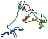 Receptor Transporter Protein 2 (RTP2)