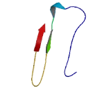Receptor Transporter Protein 4 (RTP4)