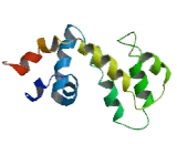 Regulator Of G Protein Signaling 18 (RGS18)