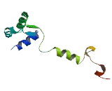 Regulator Of Ribosome Synthesis 1 (RRS1)