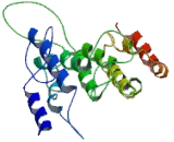 Regulatory Factor X Associated Protein (RFXAP)