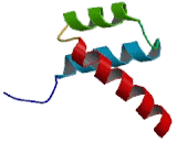 Retina And Anterior Neural Fold Homeobox Protein (RAX)