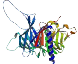 Retinoblastoma Binding Protein 4 (RBBP4)