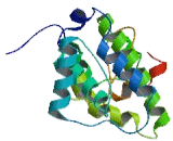 Rho GTPase Activating Protein 20 (ARHGAP20)