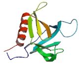 Rho GTPase Activating Protein 23 (ARHGAP23)