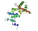 Rho GTPase Activating Protein 27 (ARHGAP27)