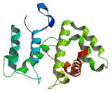 Rho GTPase Activating Protein 30 (ARHGAP30)