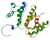 Rho GTPase Activating Protein 5 (ARHGAP5)