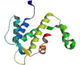 Rho GTPase Activating Protein 6 (ARHGAP6)