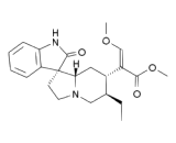 Rhynchophylline (RCP)