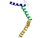 Ribosomal L1 Domain Containing Protein 1 (RSL1D1)