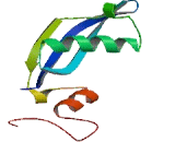 Ribosomal Protein L18A (RPL18A)