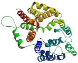 Ribosomal Protein S21 (RPS21)