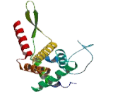 Ribosomal Protein S5 (RPS5)